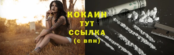 тгк Балахна