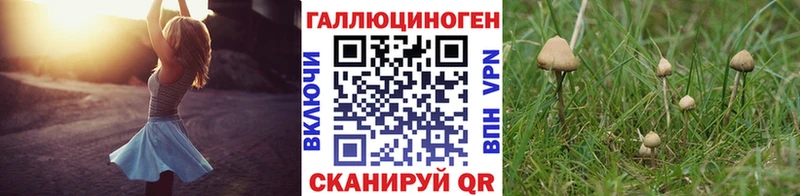 Галлюциногенные грибы Cubensis  где найти наркотики  Городище 